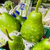 瓠瓜