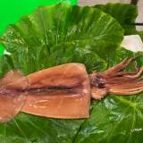 水發魷魚