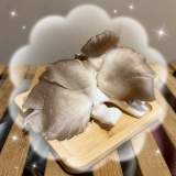 秀珍菇 6-8支