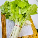 鵝白菜