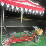電動功能協力車