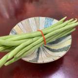 四季豆