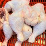 台產骨腿   (肉雞 )