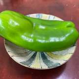 青椒