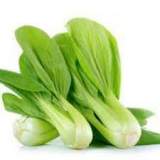 青江菜