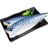 挪威鯖魚片