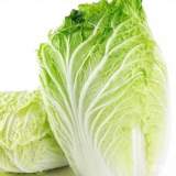 包心白菜
