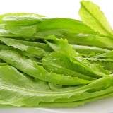 A菜
