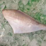 剝皮魚