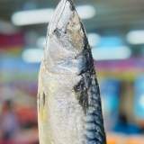 薄鹽鯖魚