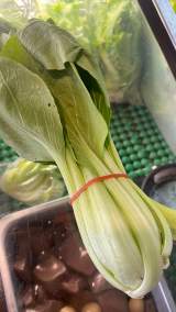 青江菜