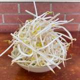 豆芽