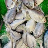 肉魚