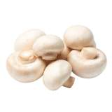 白蘑菇/洋菇