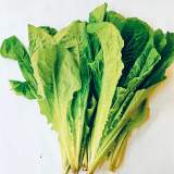 A菜