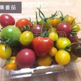 糖果蕃茄