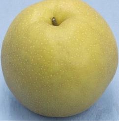 15225